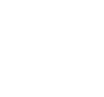 منظم انتظامیہ