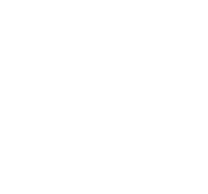 پیشہ ورانہ ٹیم